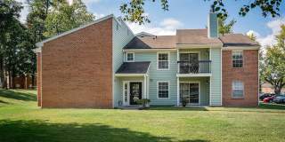 Steeplechase Gallery 2