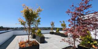 Chronicle Gallery 29