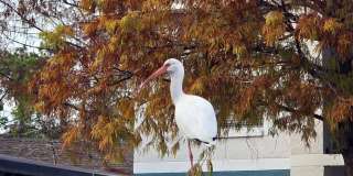 Aspire at Gateway Gallery 18