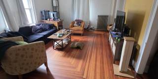 17 Laurel Street Gallery 2