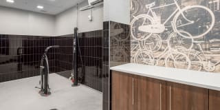 The Nicholas The Nicholas Gallery 19