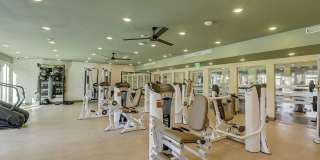 Aspire at Flamingo Grand Gallery 38