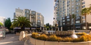 Fillmore Center Gallery 25