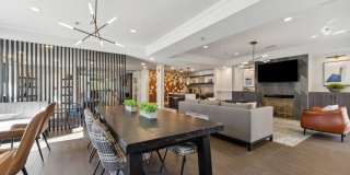 Sofi Lyndhurst Gallery 24