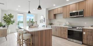 Maxwell at Bascom Maxwell at Bascom Gallery 12