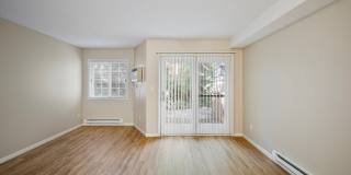 Somerset Oak Gallery 5