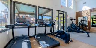 Wray North Dallas Gallery 30