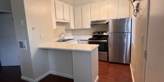 Meadowlark Gallery 7