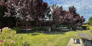$4,350 / Stunning 3BR/2BA Family Home in Fremont Gallery 21