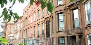 166 Halsey Street Gallery 1