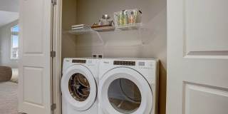 The Lodge Gallery 24