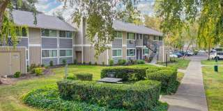 Pinecrest Apartments Gallery 29