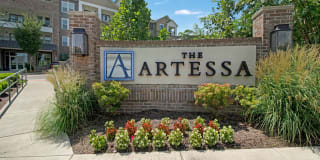 The Artessa Gallery 29