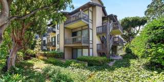 9 Madrona Gallery 32