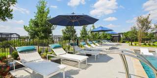 Bluestem at Loyola Gallery 23