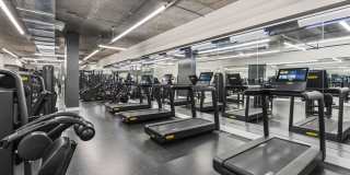 75 Tresser Gallery 16