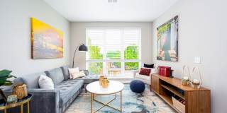 River & Rich Gallery 3