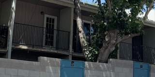 UNM/CNM 2BD 1BA Townhouse in Nob Hill Gallery 1