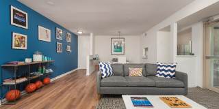Cedar Place Gallery 3