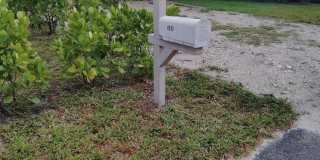 11610 Ellison Wilson Road Gallery 1