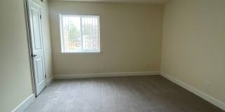 Northgate Gallery 270