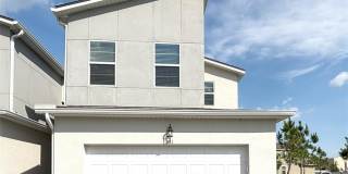 921 SPRING PALMS LOOP Gallery 1