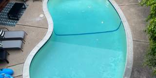 Royal Pacific Gallery 3