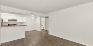 Urban Walk Gallery 15