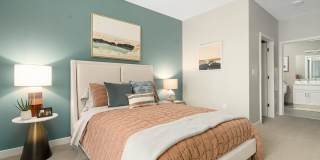 Aster at the Summit Gallery 8