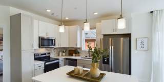 Anchor 934 Gallery 3