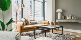 Modera Gulch Gallery 4