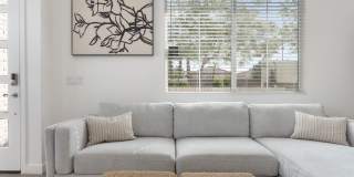 Annex at Cadence Gallery 6