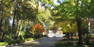 Granby Oaks Gallery 23