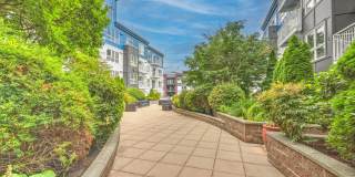 Dexter Lake Union Gallery 35