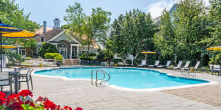 Essex Apartments Gallery 11