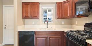 Pacific Cove Gallery 15