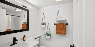 ReNew Woodland North and South Gallery 6