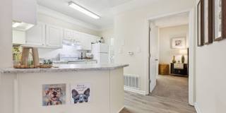 The Paxton Gallery 4