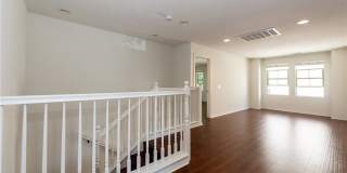 165 Pathway Gallery 8