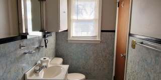 206 Columbia Ave, Chapin SC 29036 Gallery 10