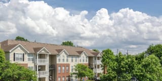 Ashley West End Gallery 9