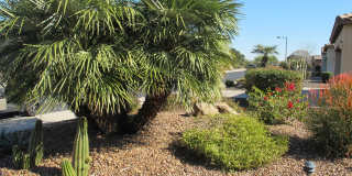 12467 W ALYSSA Lane Gallery 33