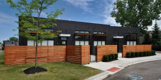 The Harrison Gallery 29