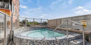 Blue and Lime Gallery 12