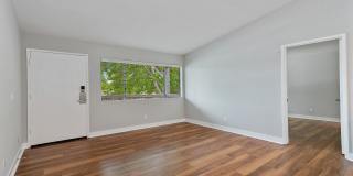 Island Club Apartments Gallery 7