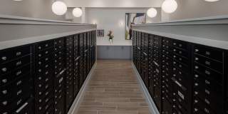 Prose Lakeside Gallery 13