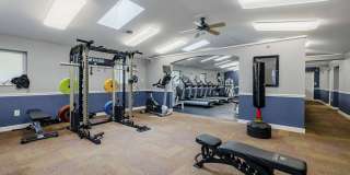 Renaissance Club Gallery 24