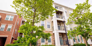 Elegant 2BD Condo with Unbeatable Access & Premium Features in Arlington w/ Parking! Elegant 2BD Condo with Unbeatable Access & Premium Features in Arlington w/ Parking! Gallery 3