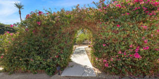 72056 Palm Haven Drive Gallery 62