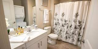 District North Gallery 12